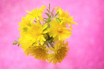 Canvas Print - Yellow flowers bouquet on the shiny pink table