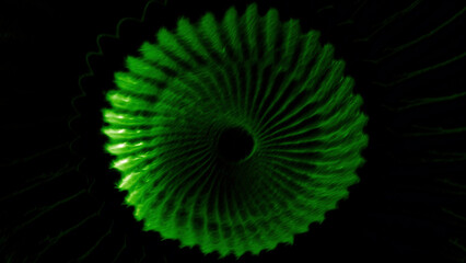 Poster - Abstract round spinning shape with blades isolated on a black background. Motion. Rotating complex figure looking like a digital flower.