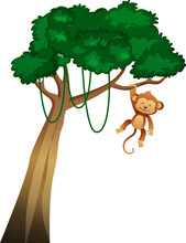 Tree With Vine And Monkey