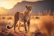Cheetah at savanna on sunset sky abstract background. Animal and nature environment concept. Generative ai