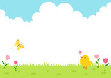 Fototapeta Natura - A baby chick and a yellow butterfly in a field of tulip flowers.Spring nature background.