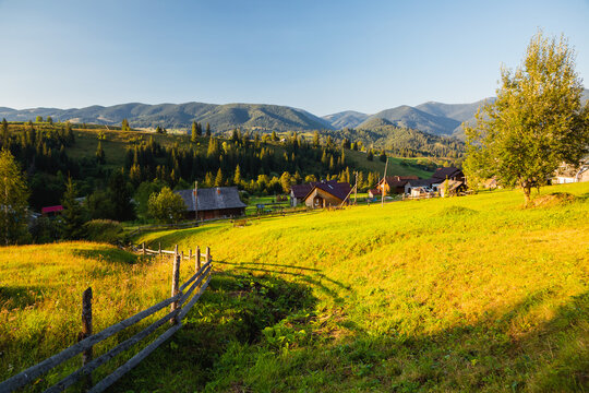 Wall Mural - Green rolling countryside in the morning light. Carpathian mountains, Ukraine.