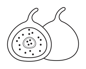 Poster - Fig icon illustration design art