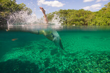 A Swimmer Diving Into The Water In Tulum, Mexico. Over And Under Shot.