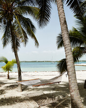 Hammock On The Beach In The Bahamas