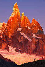 A Person Is Dwarfed In Front Of Cerro Torre.
