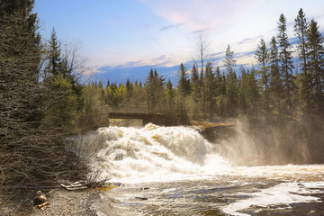 Wall Mural - Spring flood at the river Homla