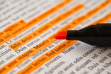 Poster - Lorem Ipsum text some lines are highlighted with orange marker stripes, side view, selective focus, document preparation
