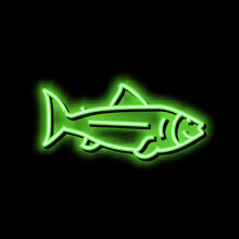 Fish Ocean Neon Glow Icon Illustration