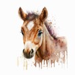 Watercolor illustration of a young brown horse on white background. Colorful portrait of a cute pony in aquarelle style with paint splatters. Generative AI art.