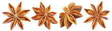 Star Anise Collection Cut Out