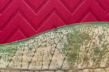 Sticker - dried tropical leaf and red card stock with chevron pattern close up