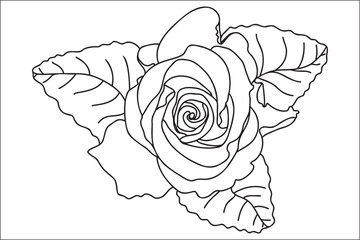 Wall Mural - Blooming rose painted with a black outline, intended for cards, prints, tattoos, Valentine's Day, March 8