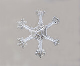Fototapeta Boho - Snowflake photo on a gray background