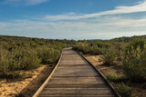 Fototapeta Dziecięca - wooden path on the sand surrounded by bushes on a sunny day with some clouds
