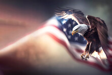 Eagle On The Background Of The American Flag. Generative AI