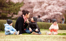 Happy Mom Having Fun With Kids On The Lawn In A Japanese Park During Hanami
