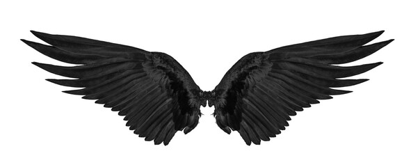 Wall Mural - black wing isolated on transparent png