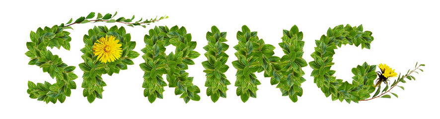 Wall Mural - green leaves and early flowers on twigs forming spring inscription isolated on white or transparent 