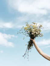 Holding A Bouquet Of  Flowers On Blue Sky Background