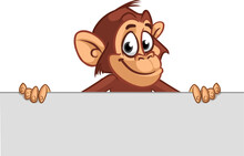 Cartoon Monkey Chimpanzee Holding Blank Empty White Paper Or Placard For Menu Or Greetings. Vector Illustration Of Happy Monkey Character