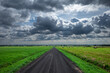 The dark gravel road stretches to the horizon under thick clouds. The road divides green fields. A rural summer landscape.