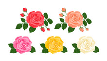 Rose Flowers Set. Beautiful Roses Of Different Colors. Red, White, Pink, Yellow, And Peach Colored Rose. Vector Floral Cartoon Illustration. 