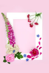 Poster - Wildflower herbal summer flower plant based medicine with valerian herb, rose, foxglove, elderflower, borage herbs used to treat a variety of illness. Abstract natural background border frame on pink.