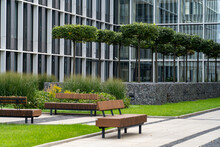 Perspective View Of Paved Path With Green Lawn, Decorative Grass And Modern Wooden Benches In Front Of Gabion Tree Tubs Made Of Wire And Filled With Stones In Recreation Area Near Modern Office Build