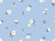 Seamless pattern with chamomiles daisy flower on blue background vector.