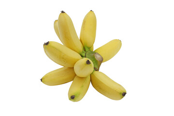 Wall Mural - Bunch of Ripe Golden banana or Lady Finger banana with isolated on transparent background png