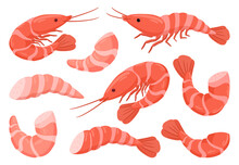 Cartoon Shrimps. Raw Or Boiled Seafood, Tiger Shrimps Meat, King Prawns Without Shell Flat Vector Illustration Set. Ocean Shrimps Collection
