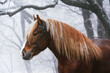 Portrait of a red Soviet heavy draft horse