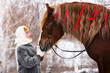 Russian beauty girl in traditional clothes  with red big horse in forest winter. They look at each other.