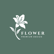 Lily Flower Beautiful Botanical Organic Line Abstract Logo Design Vector Illustration