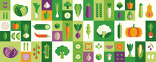 Vegetable Illustration Set: Cabbage, Broccoli, Cucumber, Tomato, Zucchini, Eggplant, Carrot. Fresh Healthy Food. Vector Icons In Flat Geometric Style.