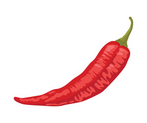 Poster - jalapeno chilli hot vegetable