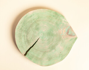 Brushed, painted in green wooden slice of pine tree without bark with annual rings on pastel yellow.