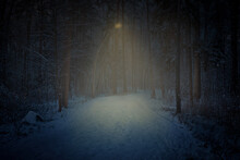 Night Snowy Footpath In Park Lighted By Street Lamp. Nighttime With Curvy Roadway In Forest At National Park. Night Road In Winter Forest. Scenic Night Landscape Of Road Through The Park.