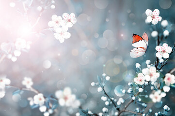 Wall Mural - flowering branches and petals on a blurred background and butterfly.