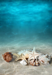 Wall Mural - Seashells on the summer beach in sea water. Underwater ocean background.