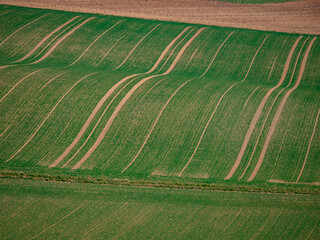 Wall Mural - Hügelige Agrarlandschaft