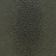 Genuine Frog Skin. The Textured Background Of The Frog Skin Is Close. 3D-rendering