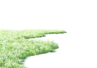 Poster - Realistic grass isolated on transparent background. 3d rendering - illustration
