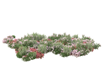 Wall Mural - Field of grass with flowers isolated on transparent background. 3d rendering - illustration