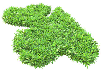 Fototapete - Field of foliage isolated on transparent background. 3d rendering - illustration