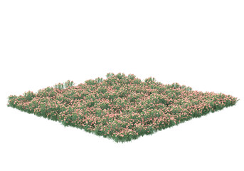 Fototapete - Field of grass isolated on transparent background. 3d rendering - illustration