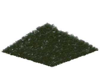 Fototapete - Field of grass isolated on transparent background. 3d rendering - illustration