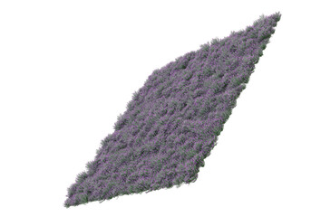 Fototapete - Field of grass isolated on transparent background. 3d rendering - illustration
