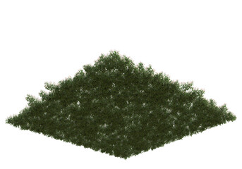 Fototapete - Field of grass isolated on transparent background. 3d rendering - illustration